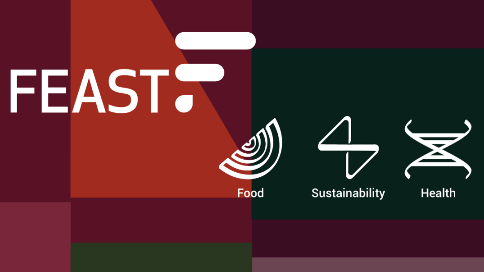 FEAST logo and icons