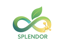 Splendor project logo